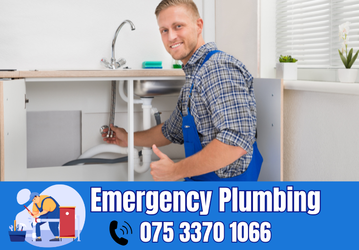  plumber Scrapsgate