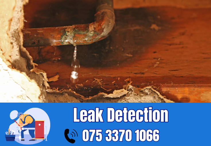 leak detection Minster On Sea